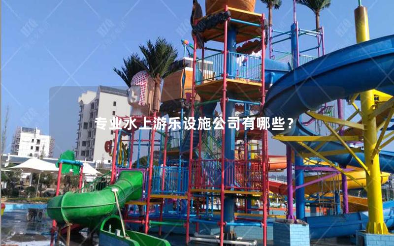 專業水上游樂設施公司有哪些？